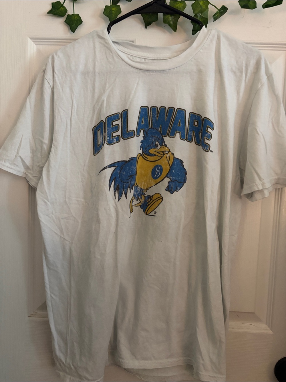 University of Delaware T Shirt